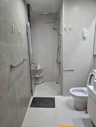 Ascentia Sky (D3), Condominium #520872491